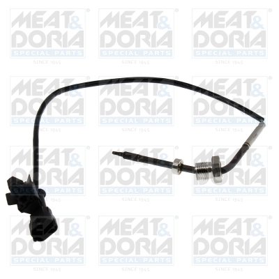 Sensor, exhaust gas temperature